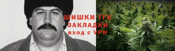 тгк Медногорск