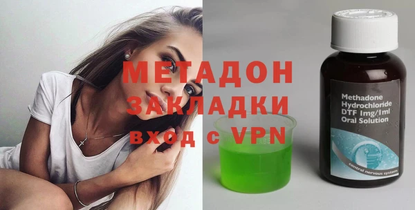 прущие грибы Медвежьегорск