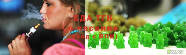 тгк Медногорск