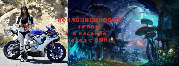 тгк Медногорск