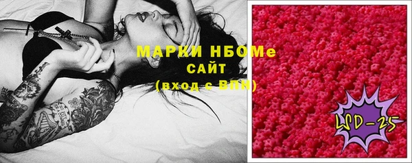 прущие грибы Медвежьегорск