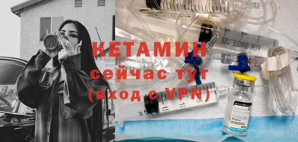 прущие грибы Медвежьегорск