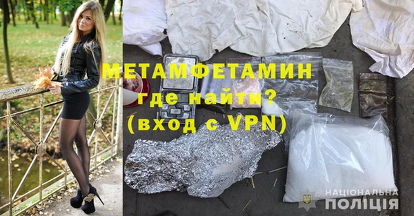 прущие грибы Медвежьегорск