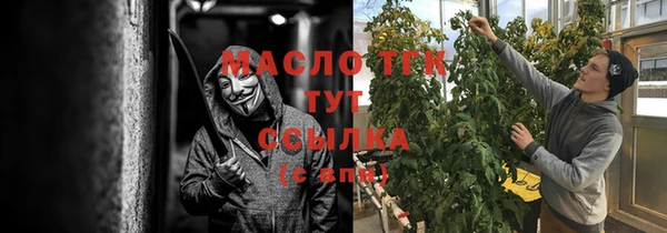 прущие грибы Медвежьегорск