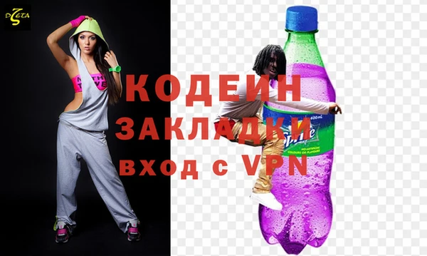 прущие грибы Медвежьегорск