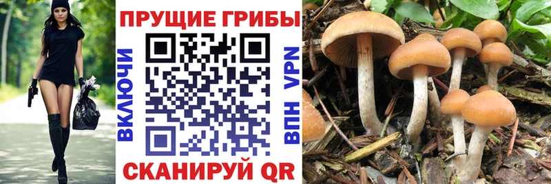 Псилоцибиновые грибы ЛСД  Электроугли 