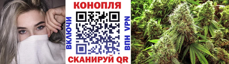 Канабис SATIVA & INDICA где купить Электроугли